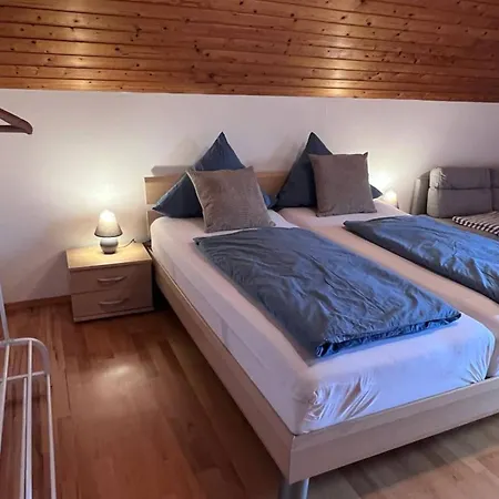 Apartment Seeglueck Seensucht - Mit Teilweiser Seesicht Grosser Terrasse Parkplatz Und Seenaehe Auf Der Insel Bei Konstanz *