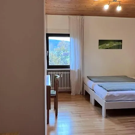 Seeglueck Seensucht - Mit Teilweiser Seesicht Grosser Terrasse Parkplatz Und Seenaehe Auf Der Insel Bei Konstanz Apartment Reichenau