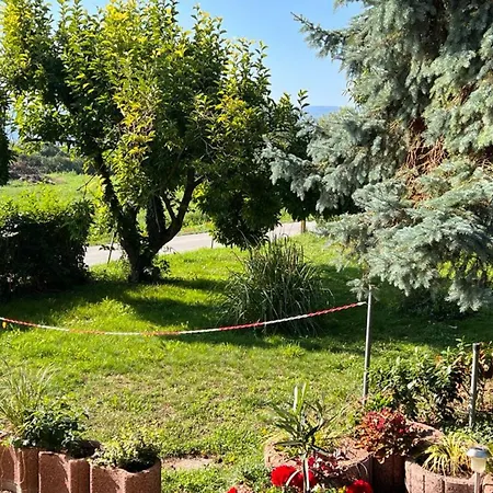 Seeglueck Seensucht - Mit Teilweiser Seesicht Grosser Terrasse Parkplatz Und Seenaehe Auf Der Insel Bei Konstanz Apartment Reichenau